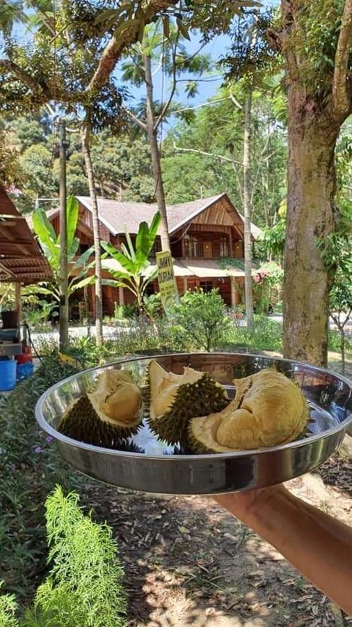 Jimmy Durian Orchard Apartment Karak Luaran gambar