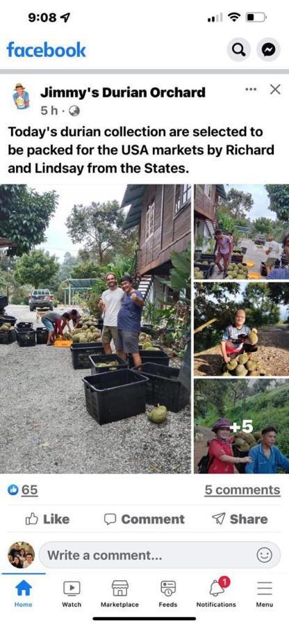 Jimmy Durian Orchard Apartment Karak Luaran gambar