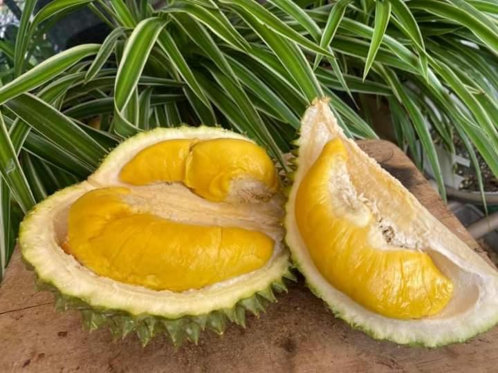Jimmy Durian Orchard Apartment Karak Luaran gambar